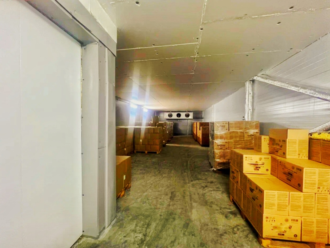Завод 1.000кв.м. производство картофеля фри 6