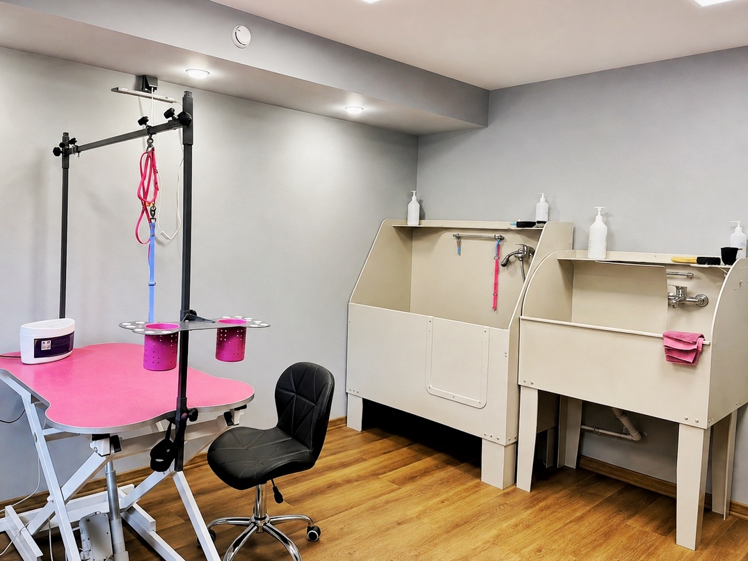 Студия груминга 75кв.м. отличная локация 1
