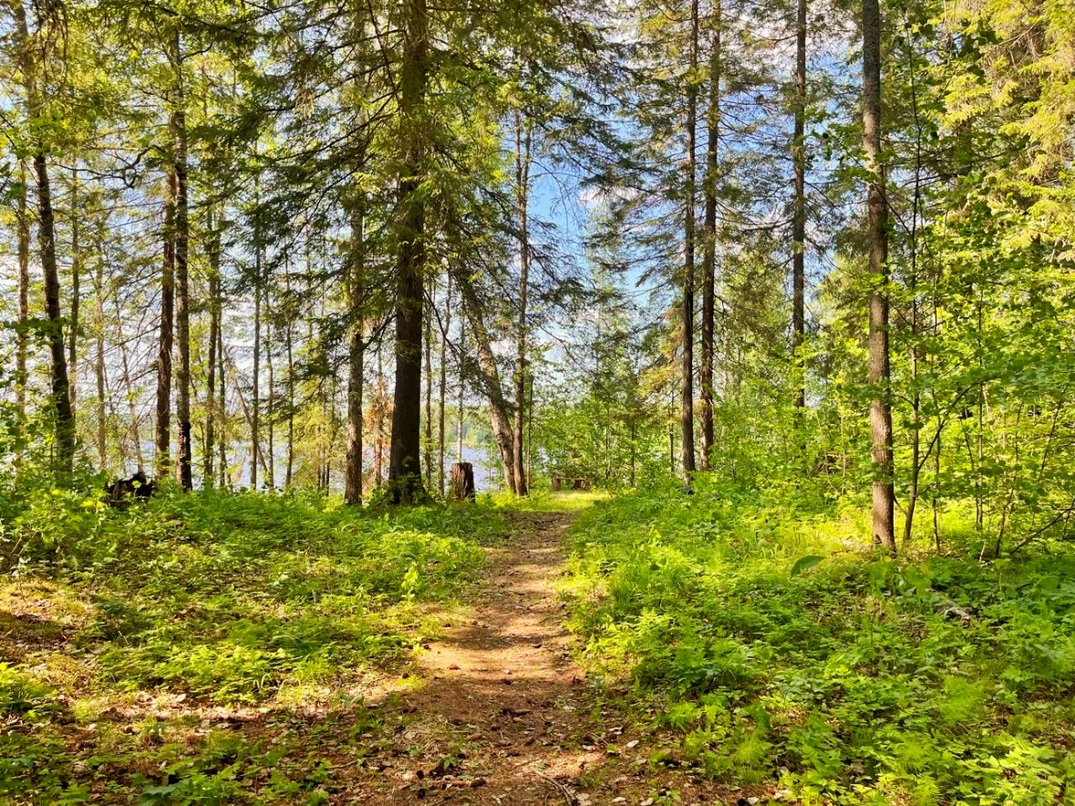 Туристическая база. Здания 1.400кв.м. Берег и пляж 1